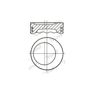 Stūmoklis NÜRAL 87-784100-10