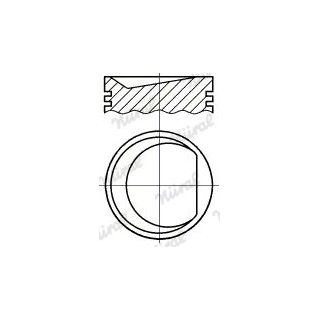 Stūmoklis NÜRAL PI1591100DP STD