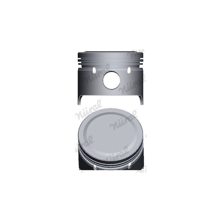 Stūmoklis NÜRAL PI31690010DP