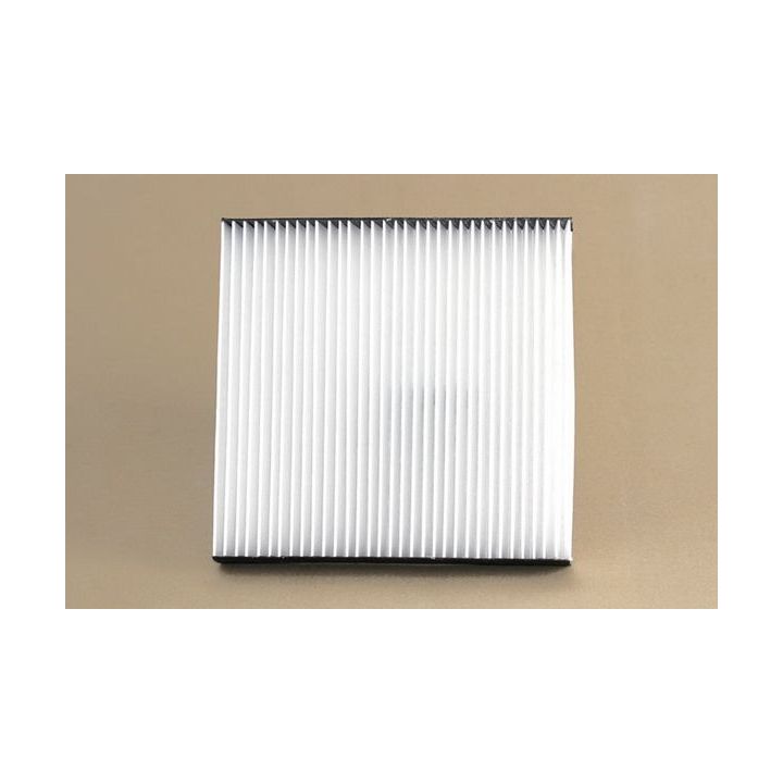 Filtras, salono oras SCT - MANNOL SA 1316