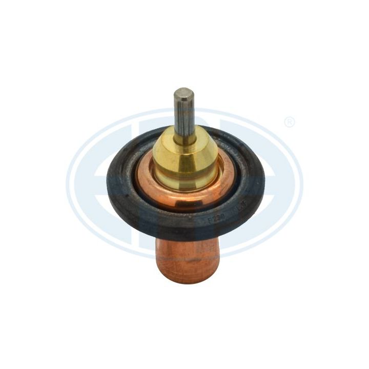 Termostatas, aušinimo skystis ERA 350486