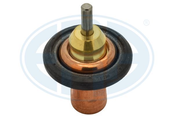 Termostatas, aušinimo skystis ERA 350486