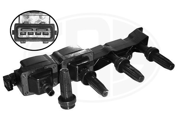 Ritė, uždegimas ERA 880017