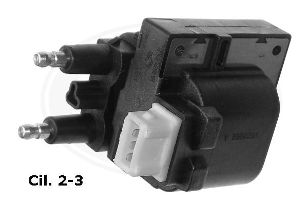 Ritė, uždegimas ERA 880116