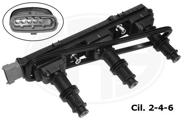 Ritė, uždegimas ERA 880173