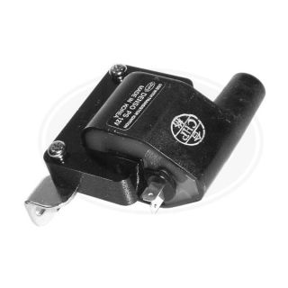 Ritė, uždegimas ERA 880185A