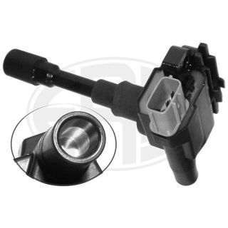 Ritė, uždegimas ERA 880247A