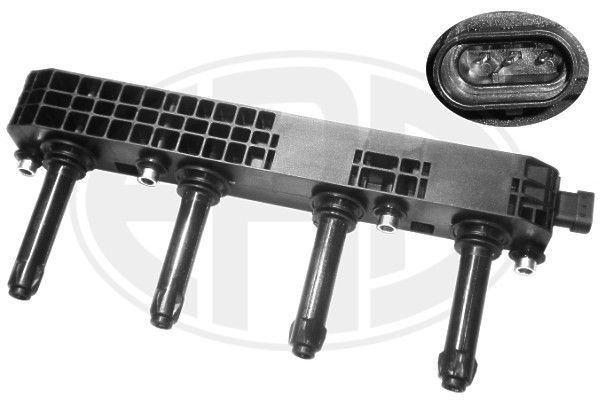 Ritė, uždegimas ERA 880322