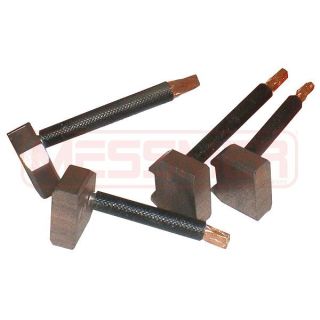 Anglies šepetėlis, starteris ERA 233006