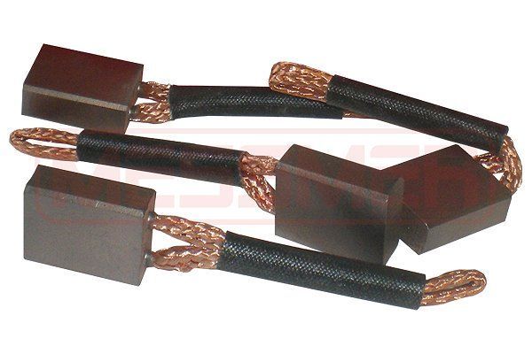 Anglies šepetėlis, starteris ERA 233063