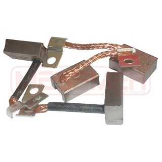 Anglies šepetėlis, starteris ERA 233066