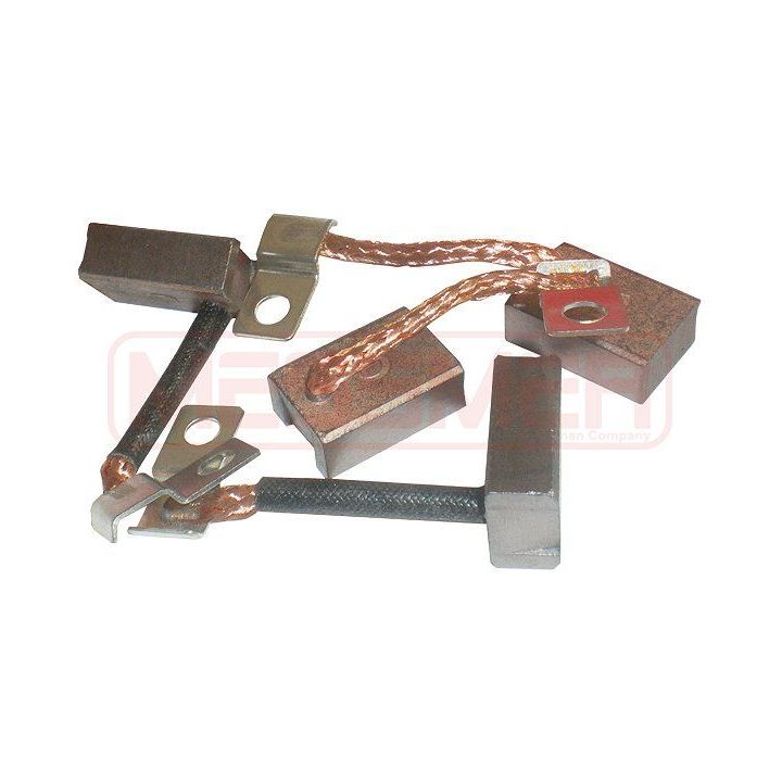 Anglies šepetėlis, starteris ERA 233066