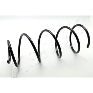 Spyruoklė ASHIKA ZCA1346G