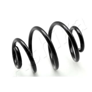 Spyruoklė ASHIKA ZCA6396H