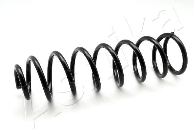 Spyruoklė ASHIKA ZCA6461G