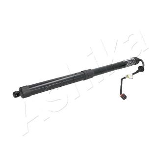 Dujinė spyruoklė, bagažinė ASHIKA ZA-HY01R