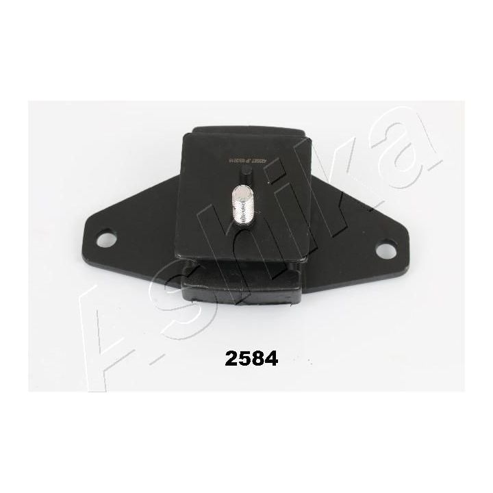 Variklio montavimas ASHIKA GOM-2584