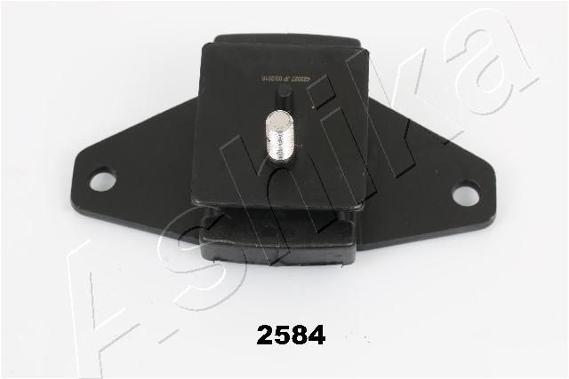 Variklio montavimas ASHIKA GOM-2584