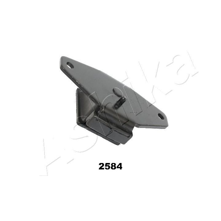 Variklio montavimas ASHIKA GOM-2584