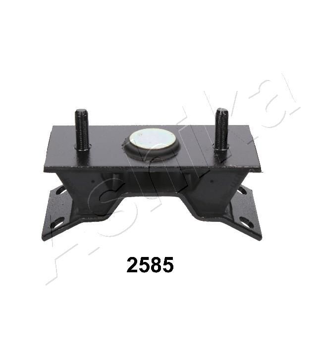 Variklio montavimas ASHIKA GOM-2585