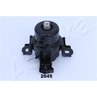 Variklio montavimas ASHIKA GOM-2645