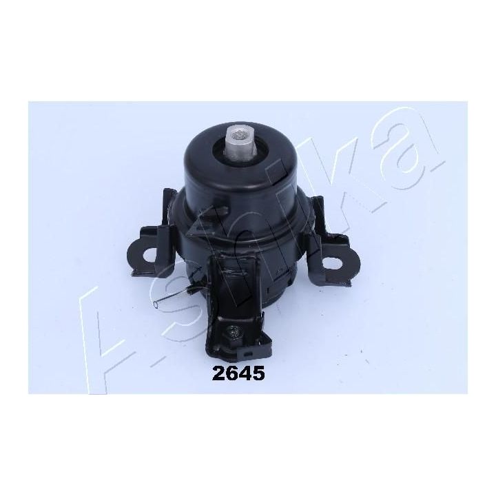 Variklio montavimas ASHIKA GOM-2645