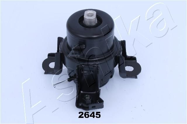 Variklio montavimas ASHIKA GOM-2645