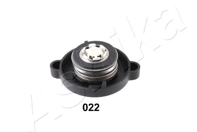 Radiatoriaus dangtelis ASHIKA 33-00-022