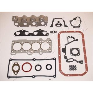 Visas tarpiklių komplektas, variklis ASHIKA 49-05-581