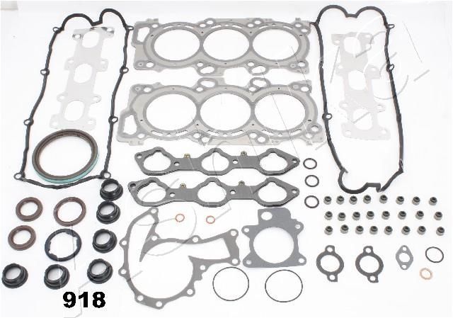 Visas tarpiklių komplektas, variklis ASHIKA 49-09-918