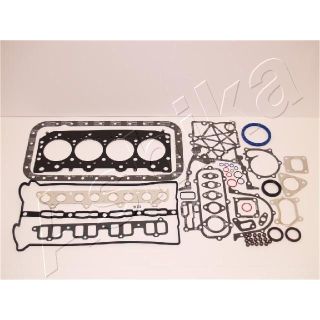 Visas tarpiklių komplektas, variklis ASHIKA 49-0K-K00