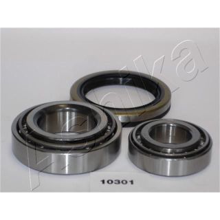 Rato guolio komplektas ASHIKA 44-10301