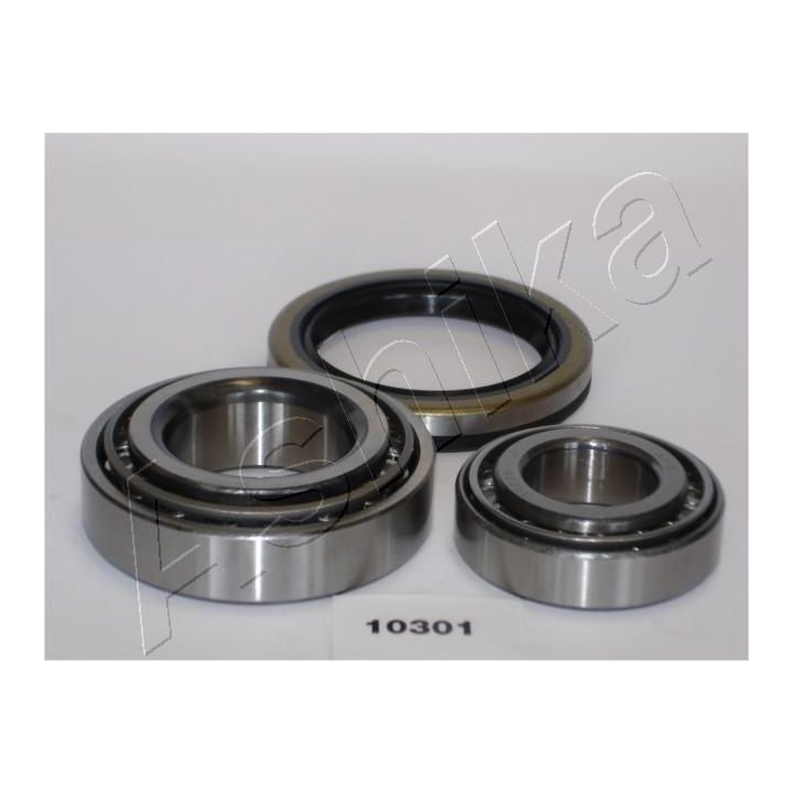 Rato guolio komplektas ASHIKA 44-10301