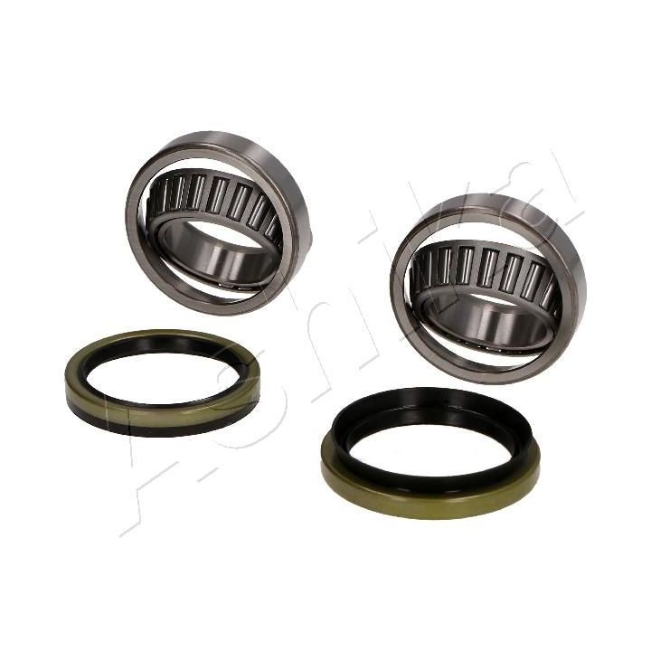 Rato guolio komplektas ASHIKA 44-10303