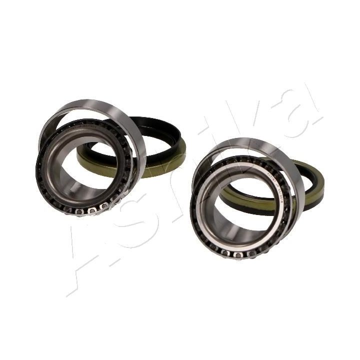 Rato guolio komplektas ASHIKA 44-10303