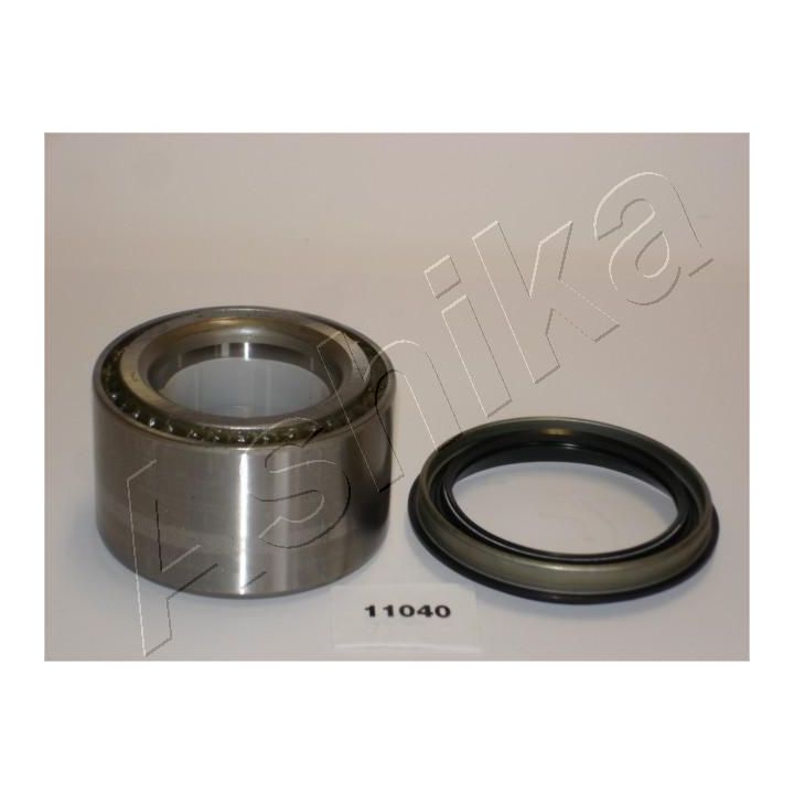 Rato guolio komplektas ASHIKA 44-11040