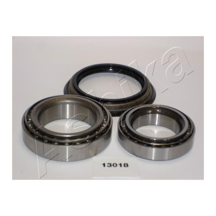 Rato guolio komplektas ASHIKA 44-13018