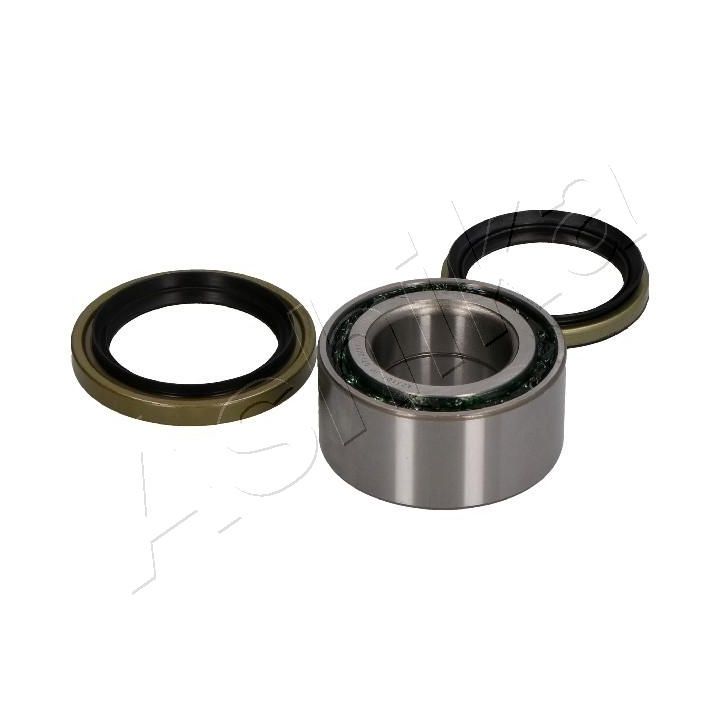 Rato guolio komplektas ASHIKA 44-15008