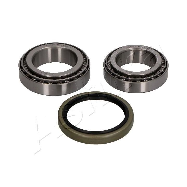 Rato guolio komplektas ASHIKA 44-19001