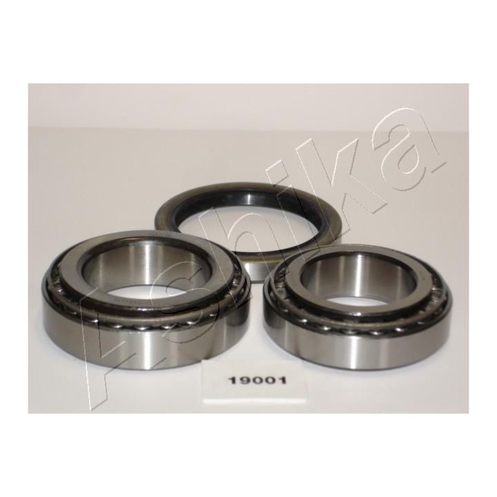 Rato guolio komplektas ASHIKA 44-19001