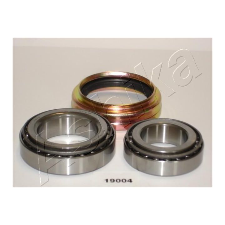 Rato guolio komplektas ASHIKA 44-19004