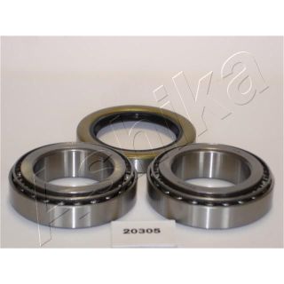 Rato guolio komplektas ASHIKA 44-20305