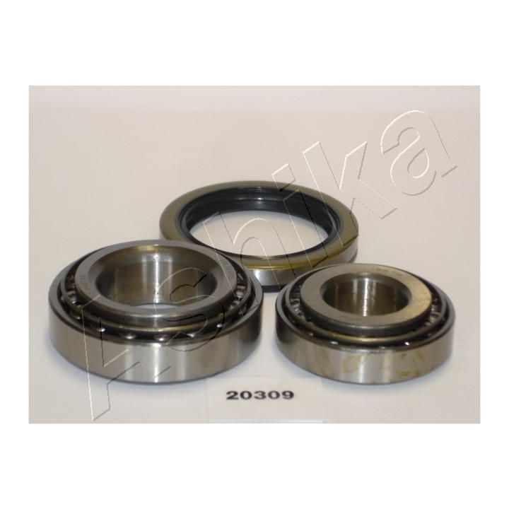 Rato guolio komplektas ASHIKA 44-20309