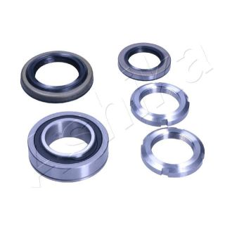 Rato guolio komplektas ASHIKA 44-20311