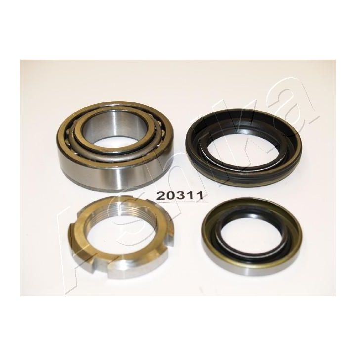 Rato guolio komplektas ASHIKA 44-20311