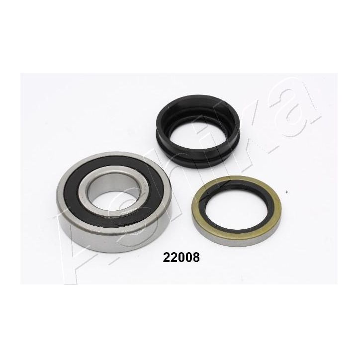 Rato guolio komplektas ASHIKA 44-22008