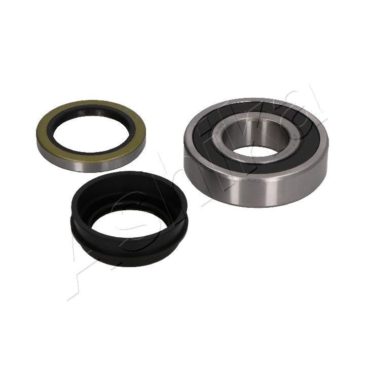 Rato guolio komplektas ASHIKA 44-22008