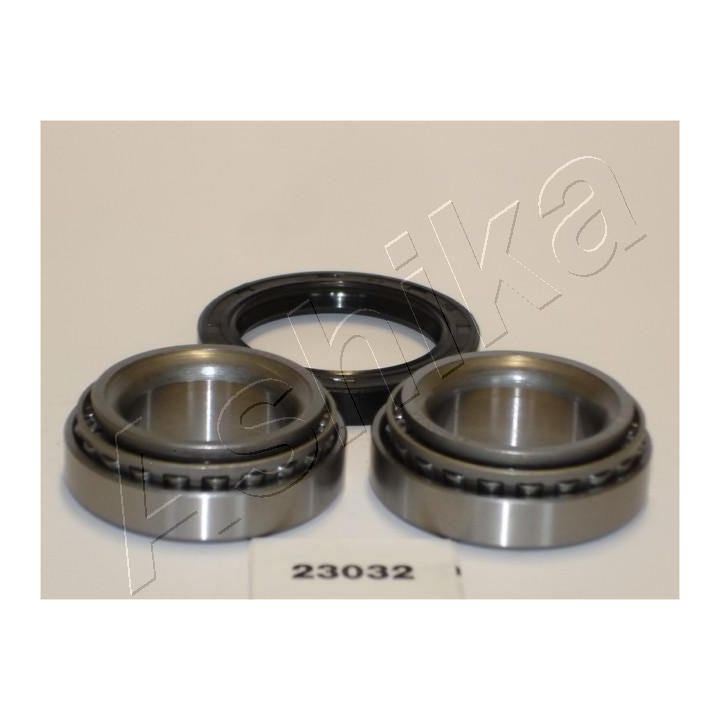 Rato guolio komplektas ASHIKA 44-23032