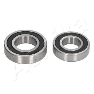 Rato guolio komplektas ASHIKA 44-25029