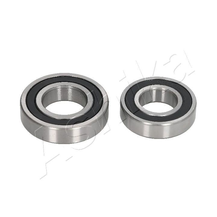 Rato guolio komplektas ASHIKA 44-25029